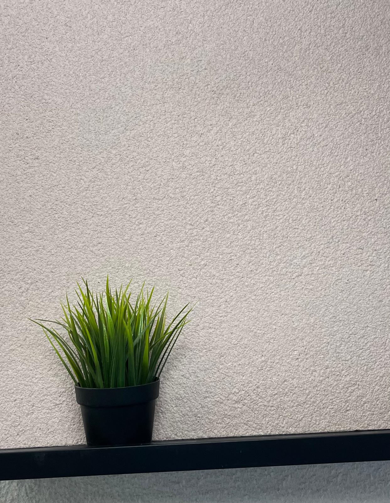 Floxxan Flüssigtapete in Apricot neu - feine textile Struktur für edle Wandgestaltung im Wohnzimmer.